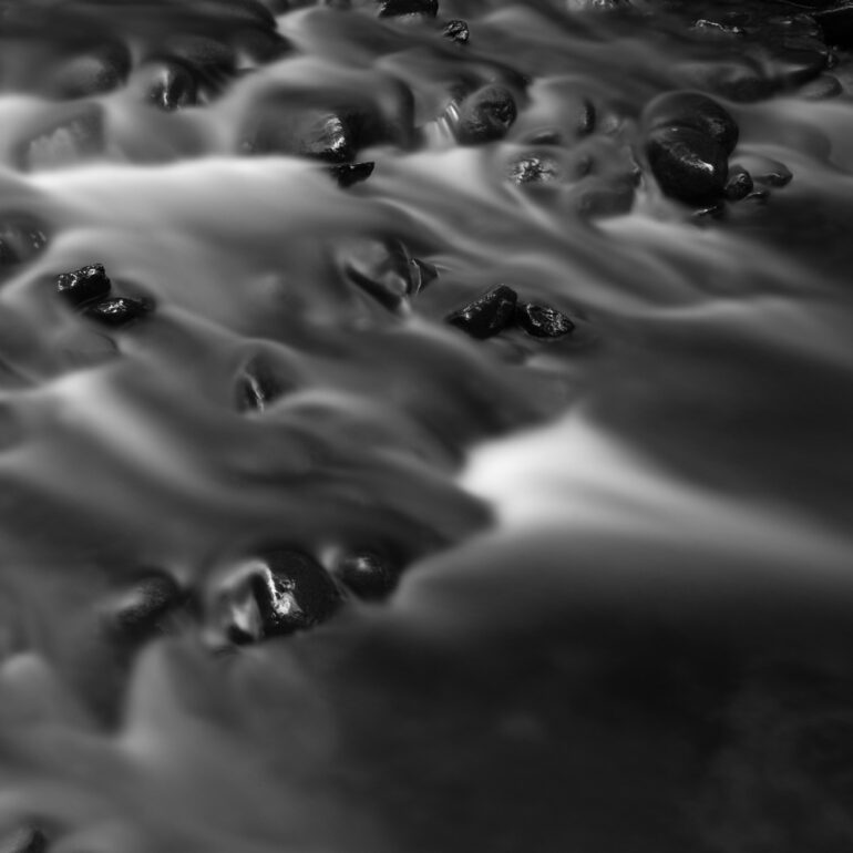 Rodrigo Etcheto Everything Flows