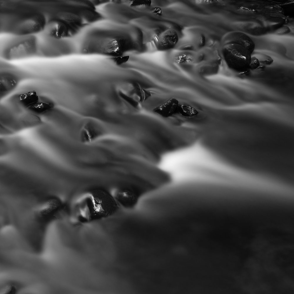 Rodrigo Etcheto Everything Flows