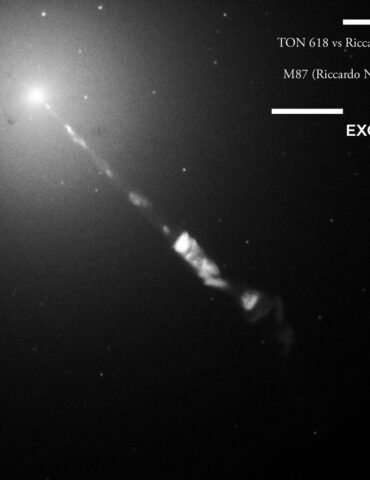 Harry Diamond White Flare